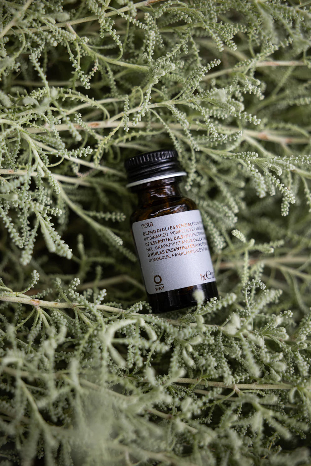 Nota2 Blended Oils
