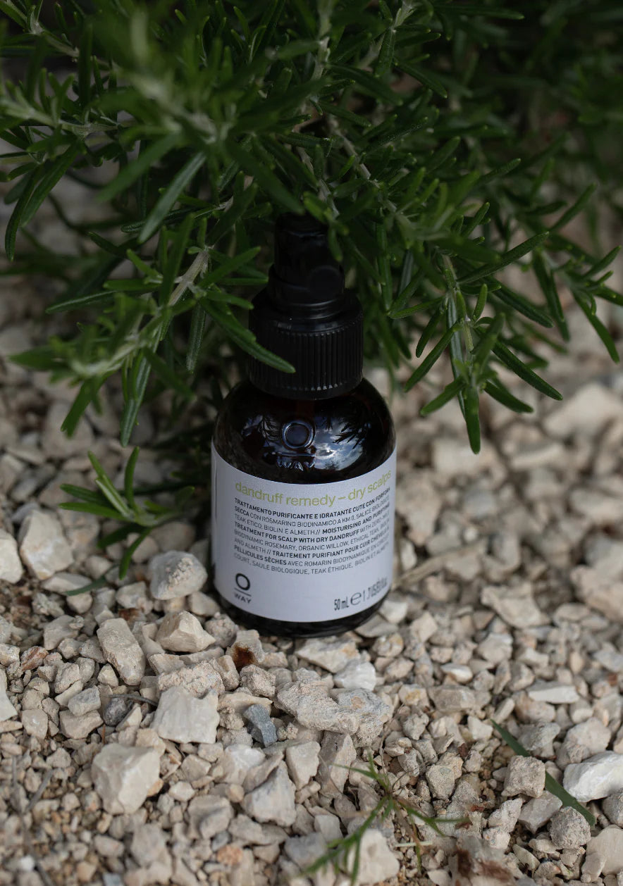 Dandruff Remedy - Dry Scalps 50ML